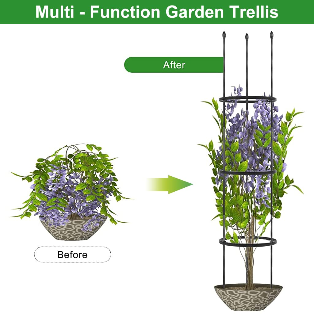 HASTHIP 110*22CM Garden Plant Support Cages Stakes for Vine, Flower, Vegetable, Pot Trellis, Round Climber Plant Support for Home Indoor & Outdoor HASTHIP 110*22CM Garden Plant Support Cages Stakes for Vine, Flower, Vegetable, Pot Trellis, Round Climber Plant Support for Home Indoor & Outdoor